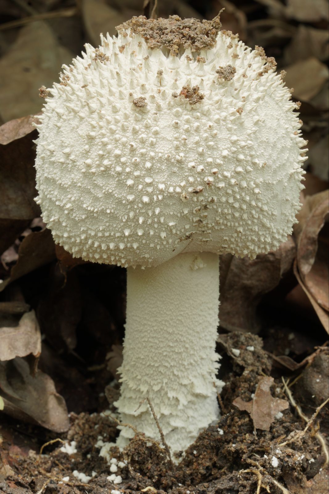 WhatsApp Image 2025-12-09 à 21.56.27_af914ec2