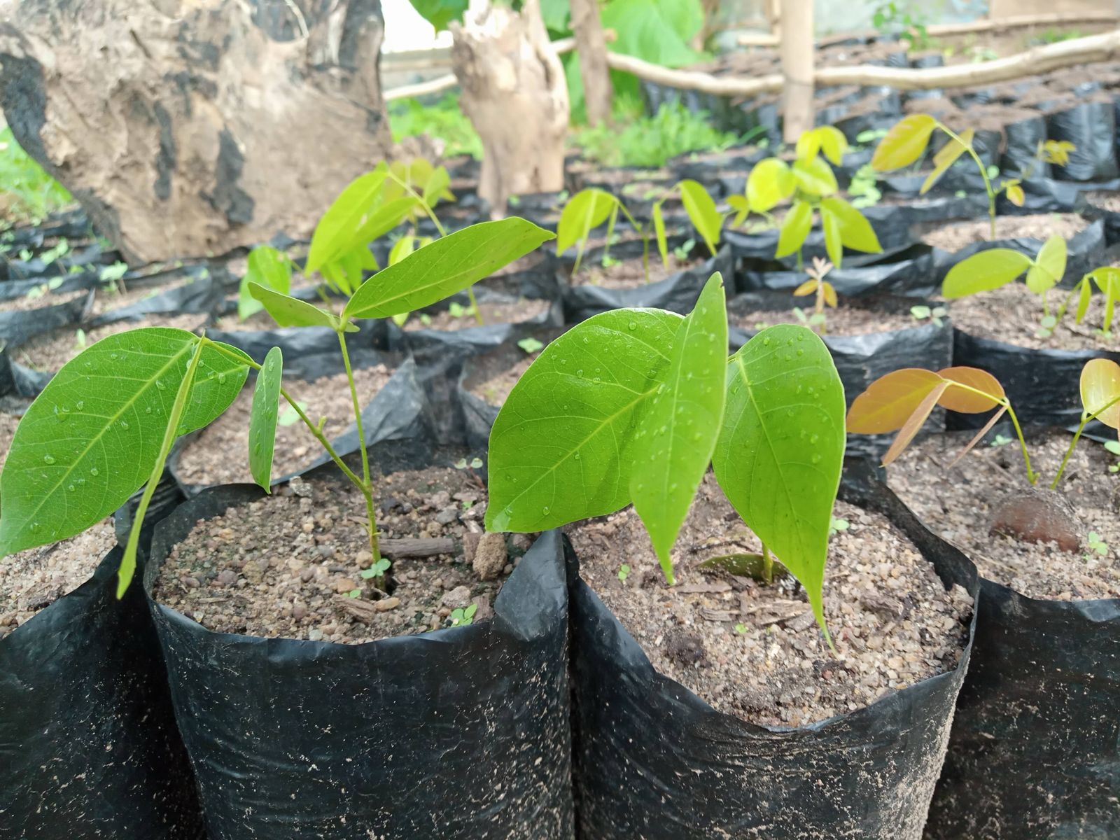 WhatsApp Image 2025-12-09 à 22.57.39_a77a8c35