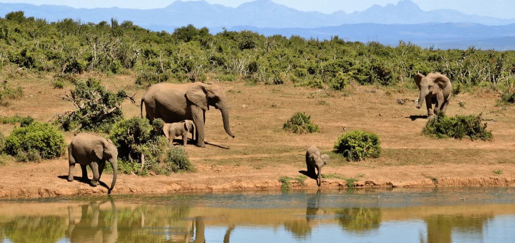 WhatsApp Image 2025-12-09 à 23.07.57_9f6d3aa3