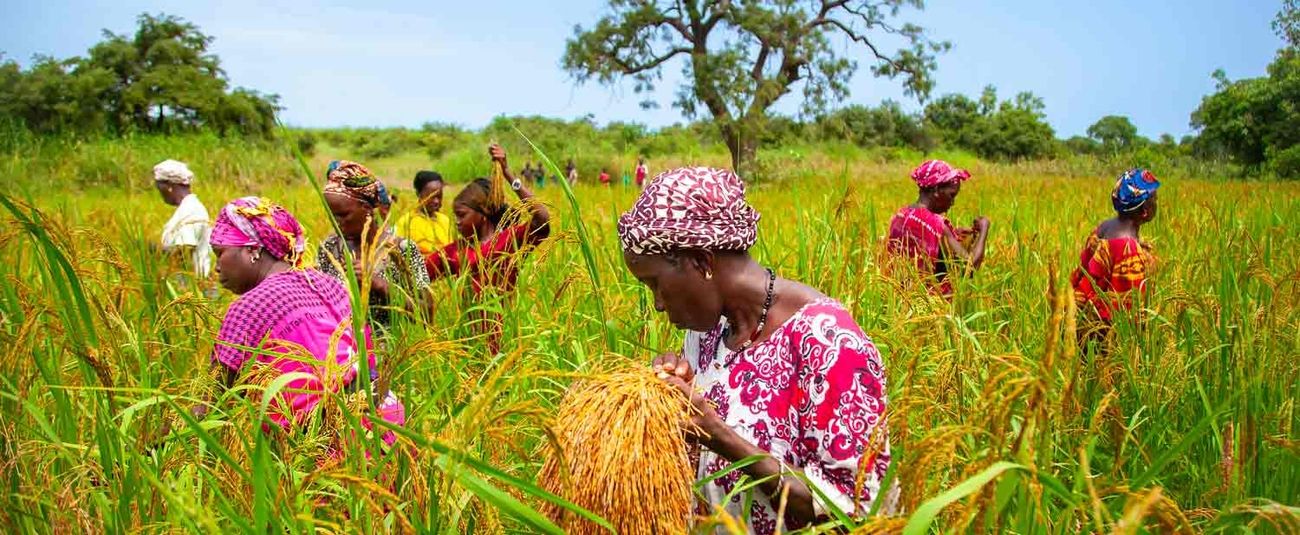 WhatsApp Image 2025-12-09 à 23.09.43_9ca12702