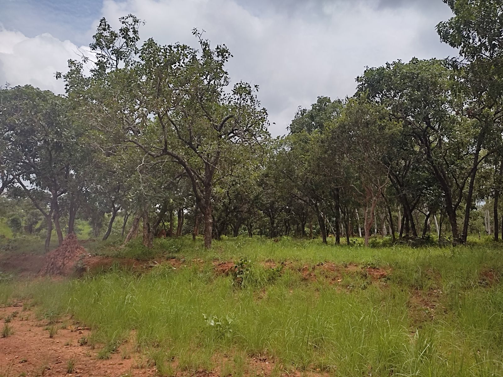 WhatsApp Image 2025-12-10 at 16.31.46