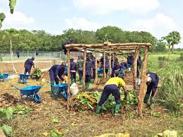 téléchargement (11)