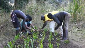 téléchargement (9)